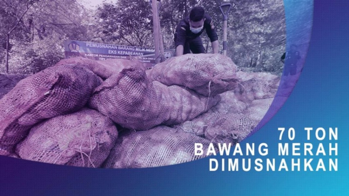 70 Ton Bawang Merah Dimusnahkan