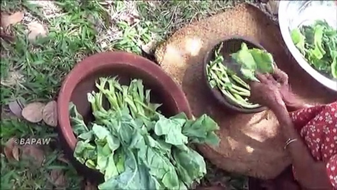 Village de Légumes de la Recette  Cuisine Knol Khol Curry par grand-mère