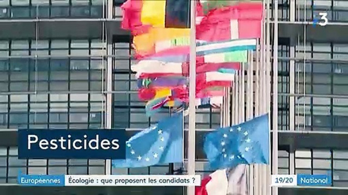 Élections européennes : que proposent les candidats en matière d'écologie ?