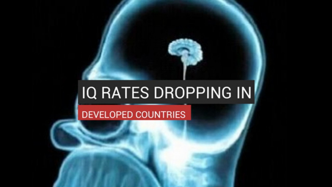 IQ Rates Dropping In Developed Countries