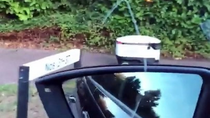 En voiture ils croisent un robot de livraison en pleine rue !