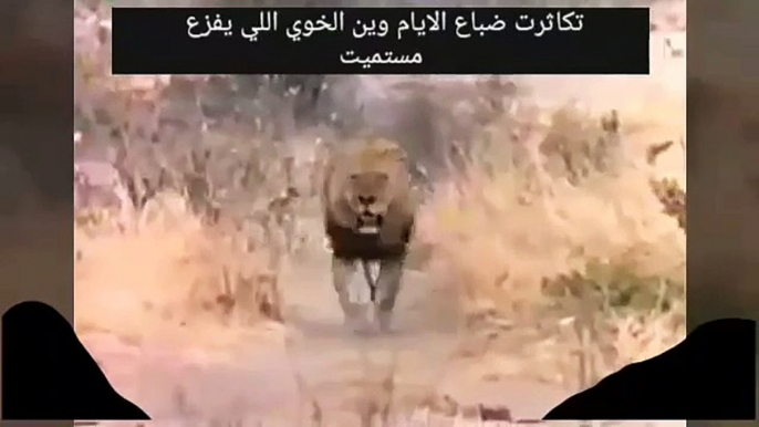 اجمل قصيدة عن الضيقة وفزعت الصاحب الكفو