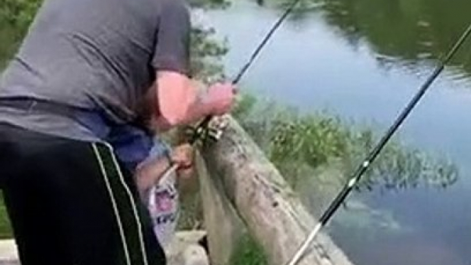 Ce serpent vole le poisson pêché accroché à la ligne de cette cane à pêche !