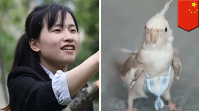 Wanita China jual popok burung, hasilkan Rp 56 juta per bulan - TomoNews