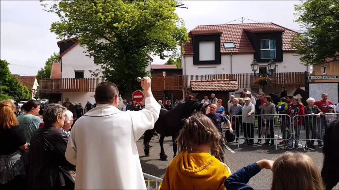 Jour de bénédiction pour les chevaux, ânes et poneys