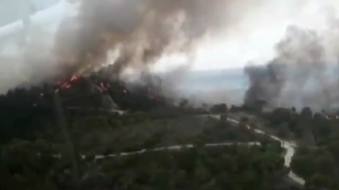 60 personas fueron desalojadas ayer en Moguer(Huelva) en un incendio que ya ha sido controlado