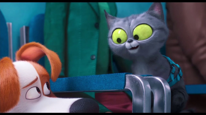 The Secret Life of Pets 2 Movie Clip - Max Meets Pets in the Vet