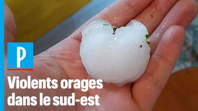 Violents orages : déluge de grêle et vergers ravagés