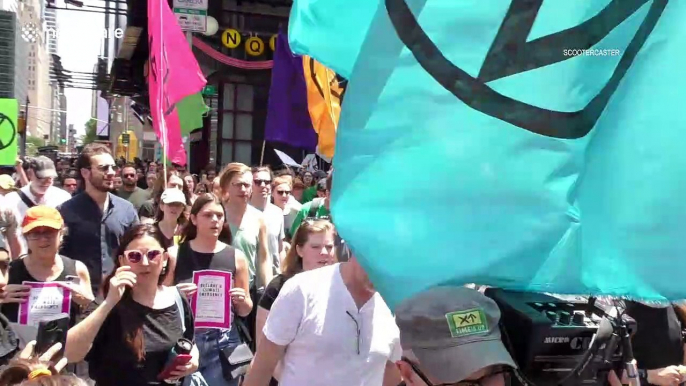 Extinction Rebellion protesters stop traffic and scale buildings in New York to protest climate emergency