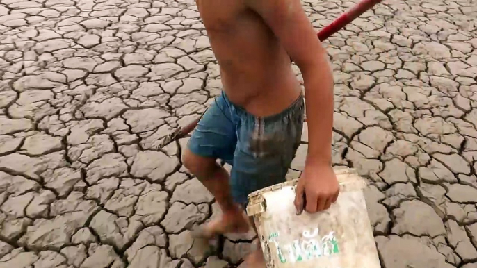 Survival Fishing | Found & Catch a lot of fish in a secret hole dry near rice field in rainy season