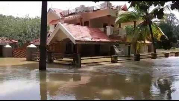 Kerala floods:  Flooded areas at Chengannur on Sunday