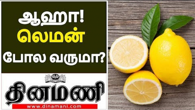 ஆஹா! லெமன் போல வருமா? | Health Benefits of Lemons | Health Tips