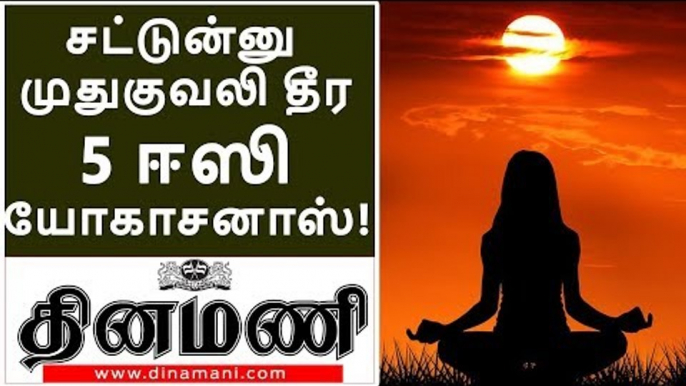 சட்டென்று முதுகுவலி தீர்க்கும் 5 யோகாசனப் பயிற்சிகள்!| 5 Easy Yogashanas to Reduce Back pain