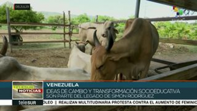 teleSUR Noticias: Pdte. de México inicia gira de salud