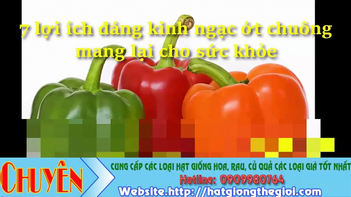 7 lợi ích ớt chuông mang lại cho sức khỏe cho con người