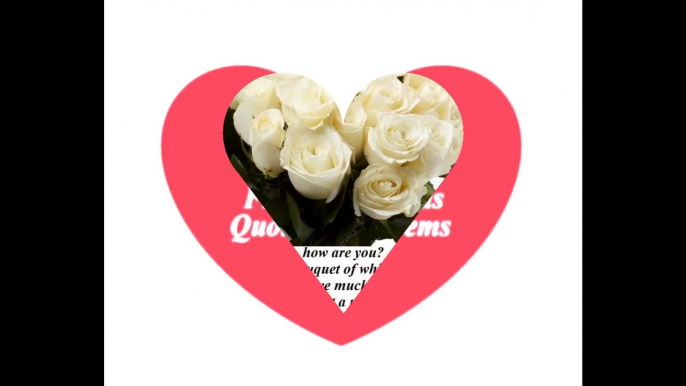 Good morning my love, brought a white rose bouquet, love you! [Message] [Quotes and Poems]