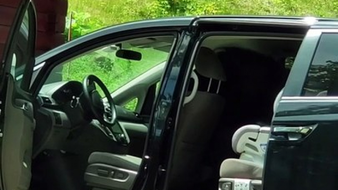 Bear Opens up Car Doors like a Boss