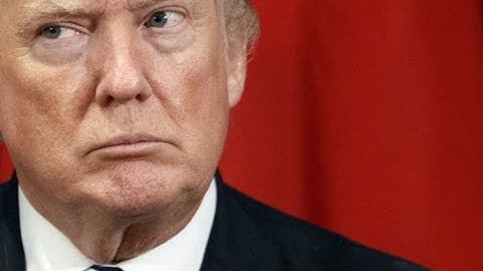 ¡TRUMP ESTÁ LOCO! SE PARECE A FOX. EL PRESIDENTE DE EUA TUITEA QUE MÉXICO PAGARÁ POR MURO FRONTERIZO