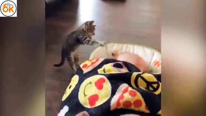 Cat and Baby fighting - Funny baby - Funny Animals - Funny Cats