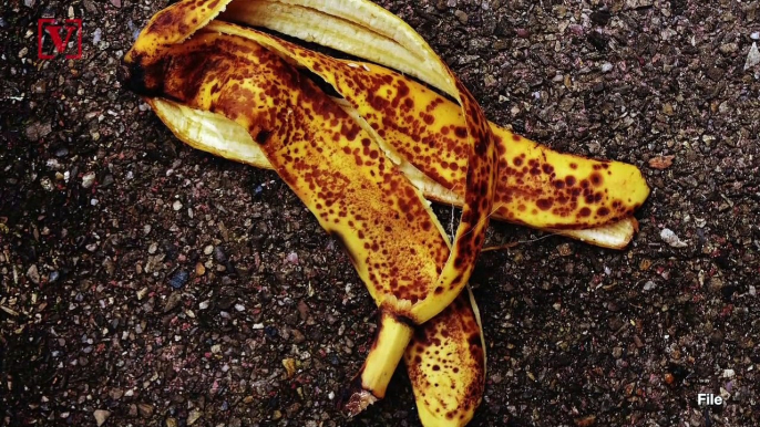 Not So A-Peeling! Scotland’s Highest Mountain Has Problem With Discarded Banana Peels!