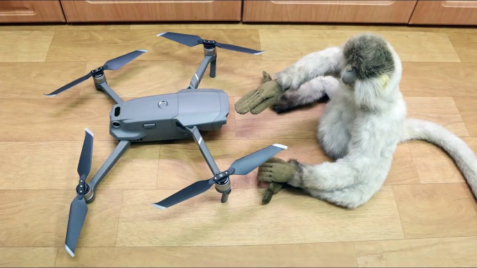 Monkey vs Drone - DJI MAVIC 2  Stop motion  Animation