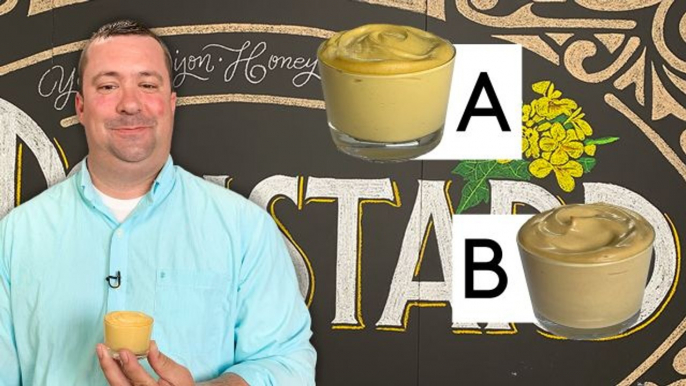 Mustard Expert Guesses Cheap vs Expensive Mustard