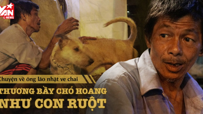 "Lão Hạc" nhặt ve chai thương bầy chó hoang như con ruột | Chuyện cổ tích đời thường