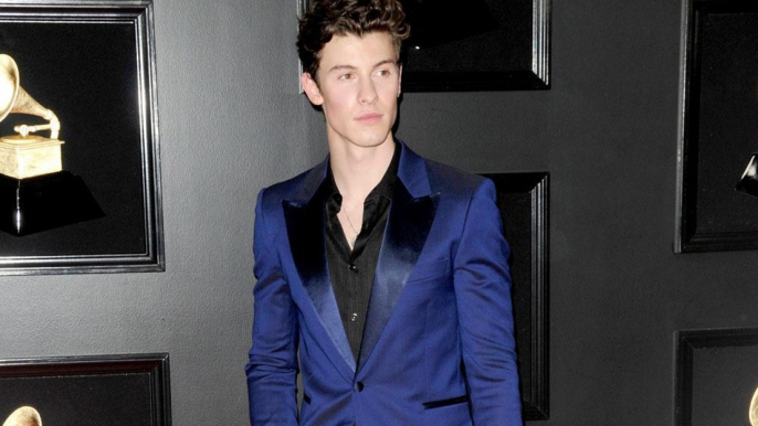 Shawn Mendes löscht Social Media Apps