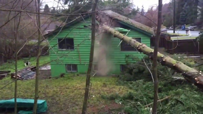 Ces bucherons font tomber un arbre au pire endroit : sur la maison