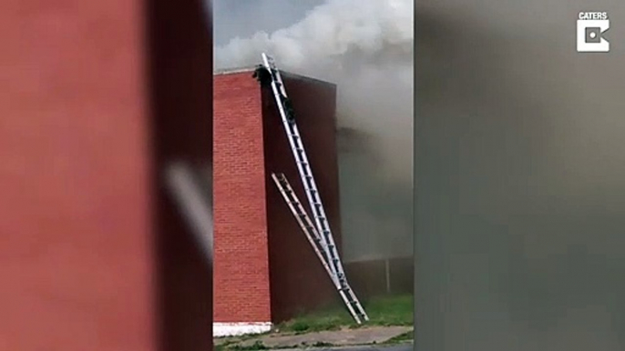 Les pompiers sauvent un raton laveur piégé dans un incendie... Beau geste