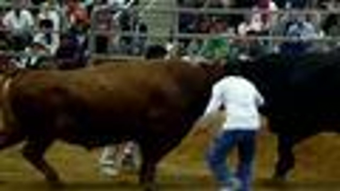 Corridas de toros sin toreros