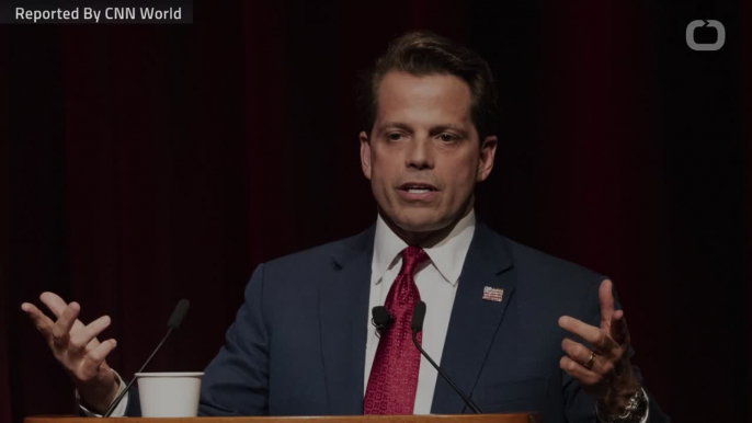 Scaramucci Now Against Trump Reelection