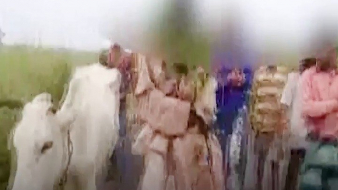 70-Year-Old Allegedly Assaulted, Tonsured by Cow Vigilantes in UP