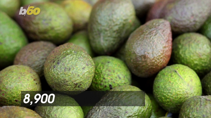 Avoca-DON’T! There Were an Estimated 8,900 Avocado-Related Injuries Last Year