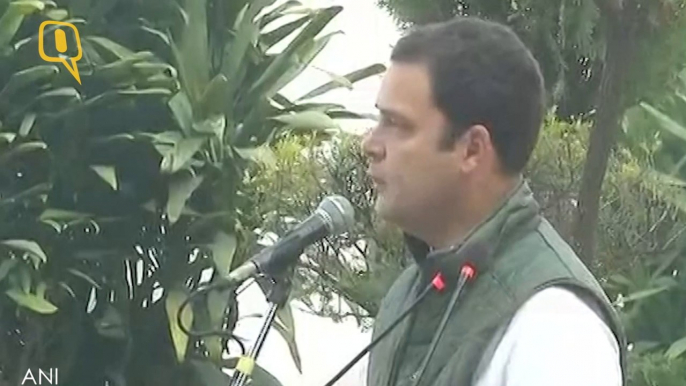 Rahul Gandhi Speaks on Congress' 133rd Foundation Day