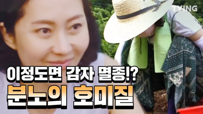 [삼시세끼] 이정도면 감자 멸종되는거 아닌가요? ft.분노의 호미질 (염정아, 윤세아, 박소담 ) | 3 Meals a Day mountai nvillage