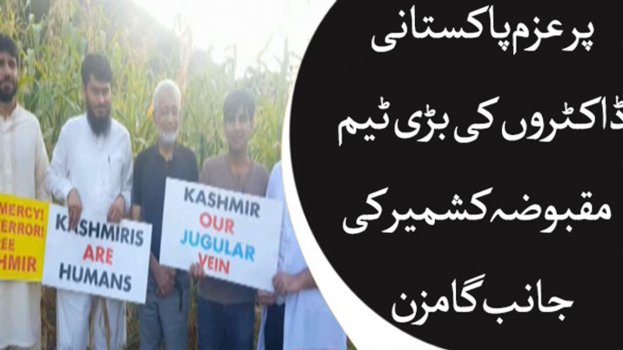 Pakistani Doctors seek Indian visa to go to occupied Kashmir