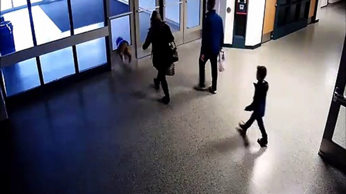 Un enfant se prend une porte vitrée et la brise... Oups