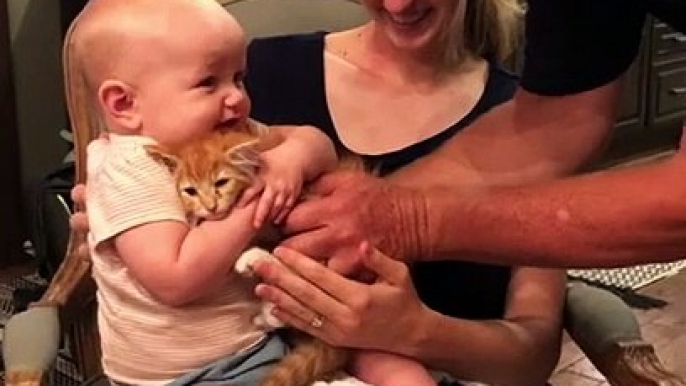 Ce pauvre chat passe le pire moment de sa vie avec ces enfants