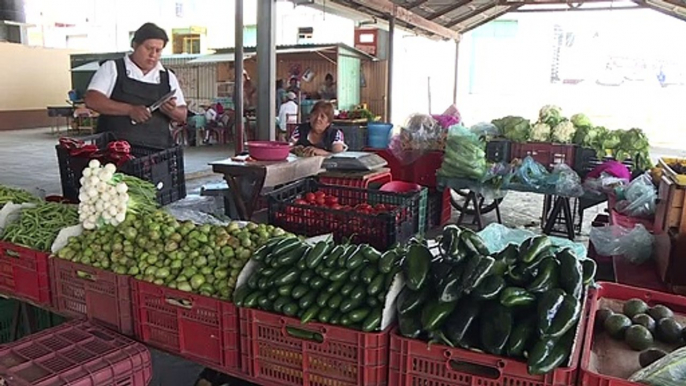 Agricultores y chefs rescatan ingredientes originales de la cocina mexicana