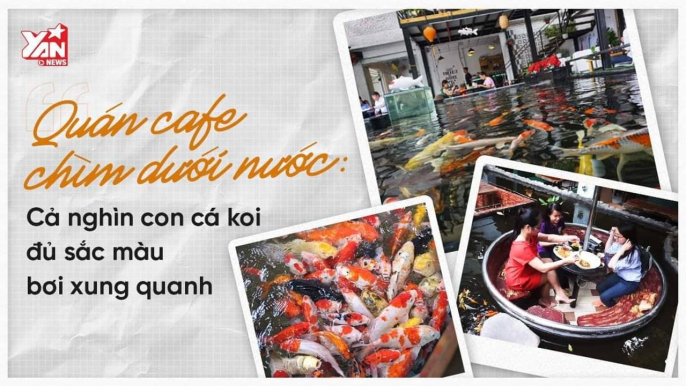 QUÁN CAFE CHÌM DƯỚI NƯỚC, XUNG QUANH LÀ NGHÌN CHÚ CÁ KOI ĐỦ SẮC MÀU-YANNEWS