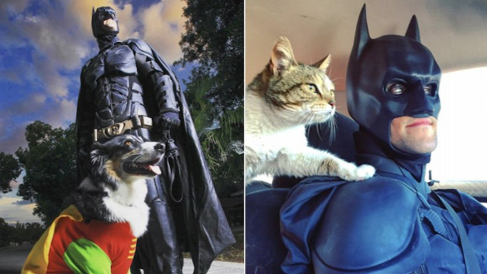 Déguisé en Batman, il parcourt les États-Unis pour sauver les animaux abandonnés de l'euthanasie