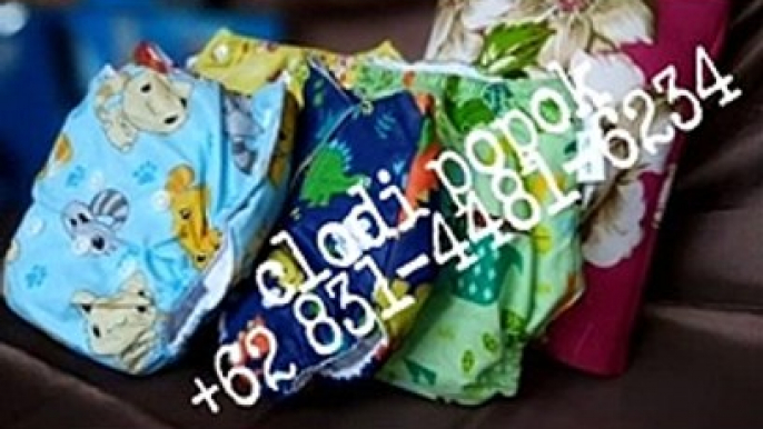 TERJANGKAU, WA +62 831-4481-6234 Jual Pampers Cuci Ulang Mungkid