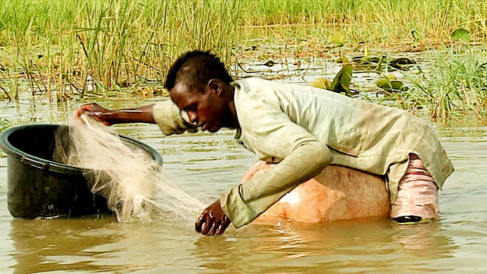 Nigeria floods: 'Too late' to replant damaged crops