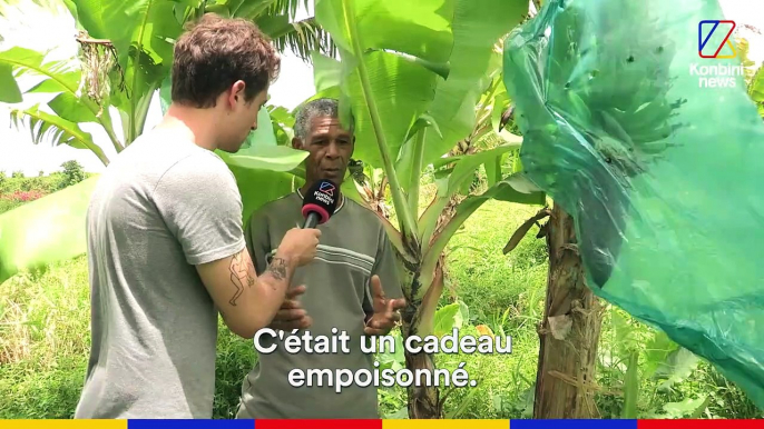 Hugo Clément et Clément Brelet sont allés en Martinique où plus de 90% de la population est contaminée au chlordécone