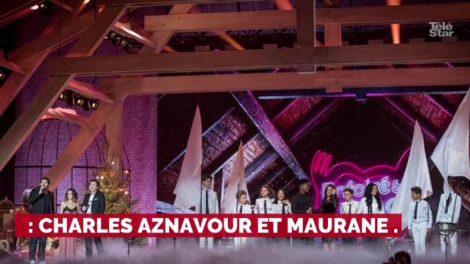 Les Enfoirés : les informations du prochain spectacle dévoilées