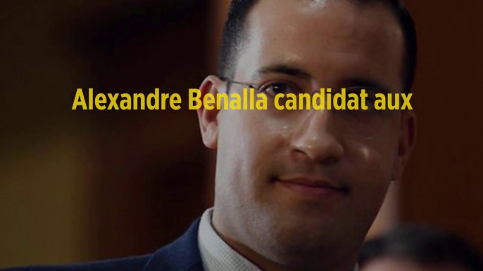 Alexandre Benalla candidat aux élections municipales en Seine-Saint-Denis ?