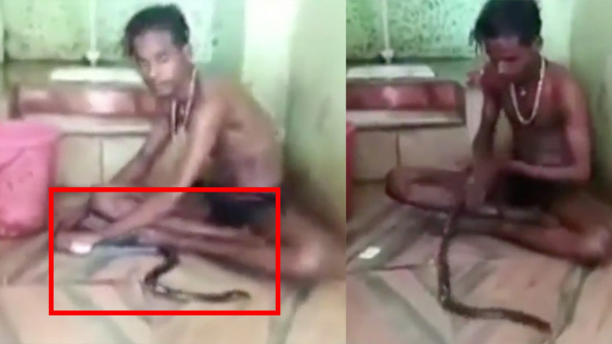 Soap Bath  For a Cobra From This Guy!  வீடியோ Do not Try this Cobra is a Poisonous Snake
