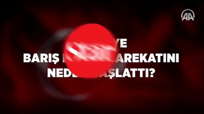 Türkiye Barış Pınarı Harekatı’nı neden başlattı?