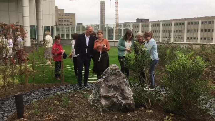 Hôpital Delta Chirec : inauguration du Jardin des Etoiles (vidéo Germani)